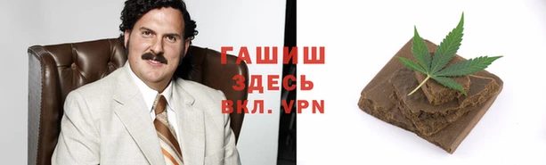 индика Ессентукская