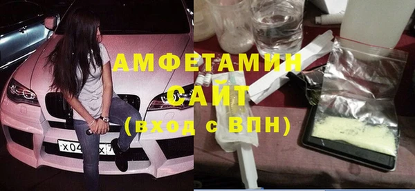 мет Алексин